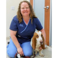 Robyn and Ace the Bassett Hound