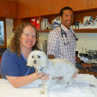 Sweet Dolly, Robyn, and Dr. Brewer (Veterinary Cardiologist)